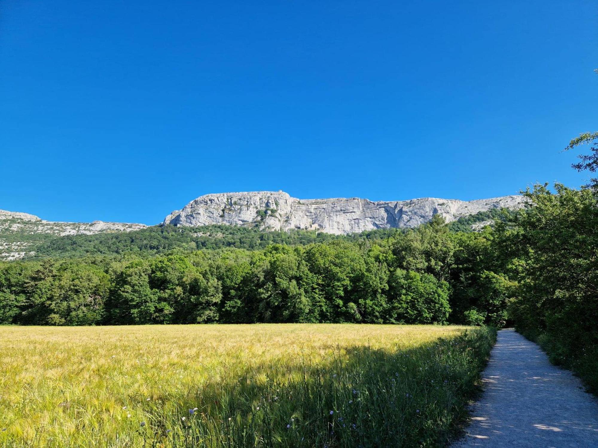 Ferienwohnung Bastide Saint Supin Tourves Exterior foto